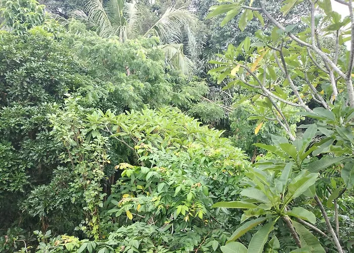Gasthof Utari House 3*